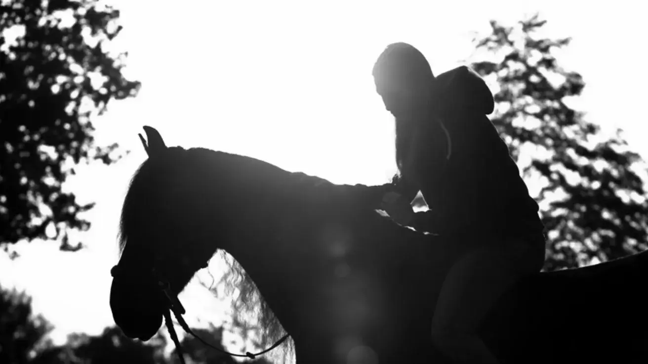 Reiterin beugt sich auf dem Pferd nach vorn, beide als Silhouette im Gegenlicht der Abendsonne